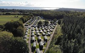 Ostseecamp Lübecker Bucht Seeigel